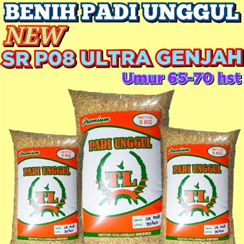 Jual Padi Unggul Terbaru P Ultra Genjah Umur Pendek Kemasan Kg