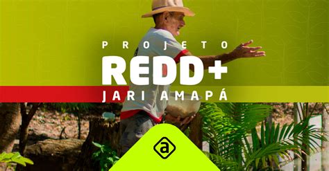 Créditos de Carbono Projeto REDD Jari Amapá Biofílica Ambipar