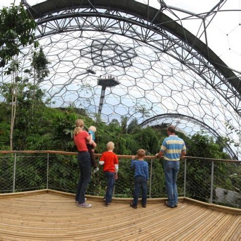 Rainforest biome – Artofit