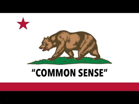 Californias Common Sense Gun Laws YouTube