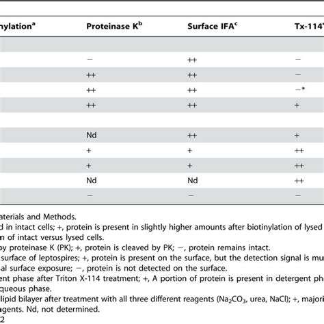 Localization of outer membrane proteins. | Download Table