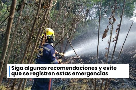 Ibagué Está Que Arde Ocho Incendios Forestales Fueron Atendidos Este