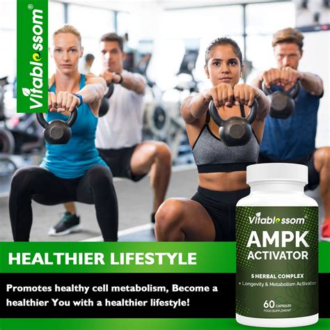 Vitablosom AMPK Activator Supplement 5 In 1 Jiaogulan Gynostemma AMPK