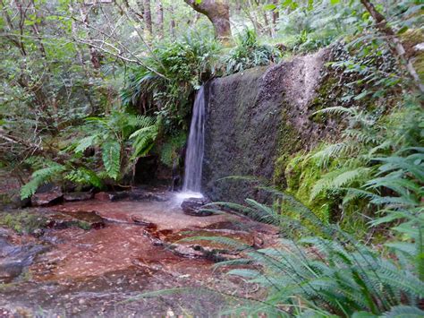 Dartmoor Walking Tours | Adventureline | Guided Walking Holidays