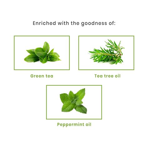 Buy SIRONA BIKINI LINE BODY HAIR REMOVAL CREAM WITH GREEN TEA TEA TREE GM Online Get