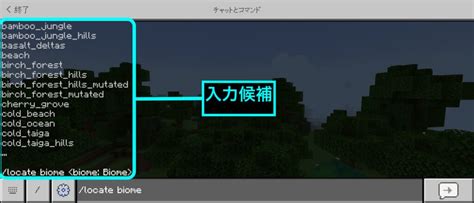 【マイクラjava版統合版スイッチ】構造物とバイオームのid一覧｜構造物id・バイオームidを使ったコマンドの例、探し方なども紹介