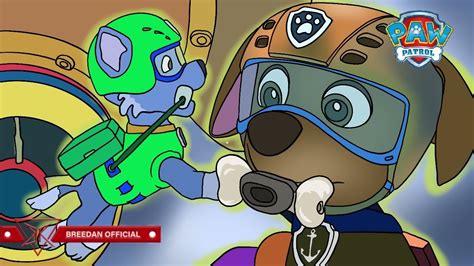 Undo Paw Patrol Rocky X Zuma Rescue Underwater Song Youtube