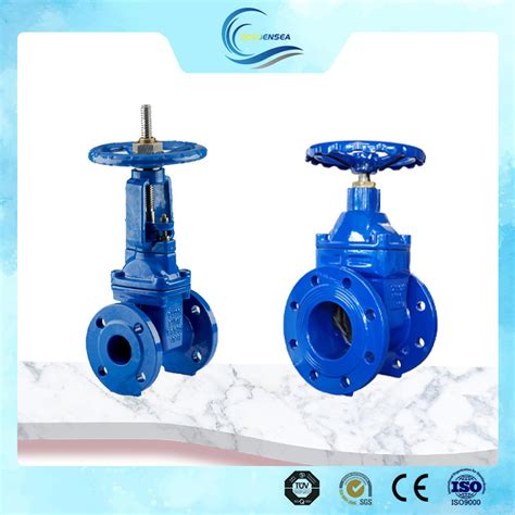 Hot Sale Pn16 Dn50 600mm Flange Resillent Seated Wedge Type Gate Valve Price List German