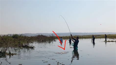 Pescaria de tilapia no Rio Grande dia e noite na ceva até que os bruto