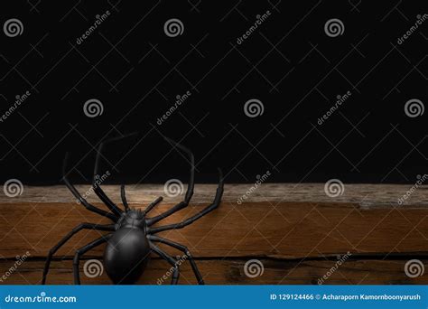 Fake Rubber Spider Toy on Black Background, Halloween Concept Stock ...