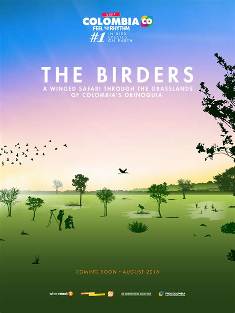 How Our Storytelling Agency Created The Birders Campaign for Colombia