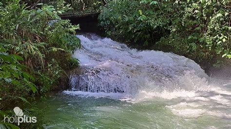 Reservar Excursión PARQUE NATURAL EL NICHO Salida desde TRINIDAD