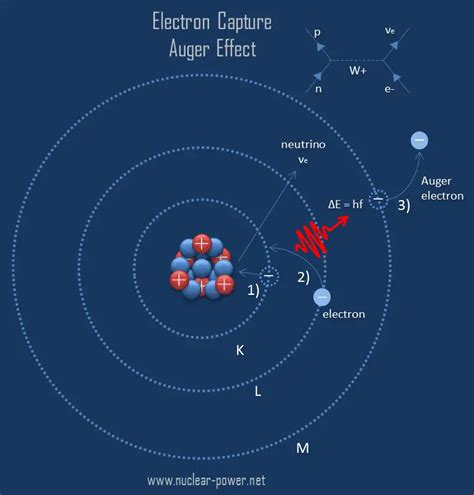 Electron Capture Inverse Beta Decay Definition And Theory Nuclear