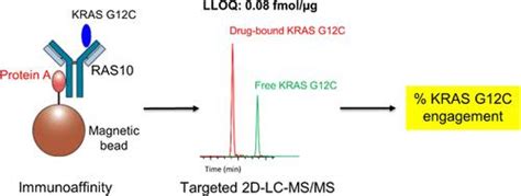 Assessment Of Kras G12c Target Engagement By A Covalent Inhibitor In