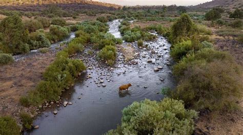 Conflict and climate change are drying up Jordan River – www ...