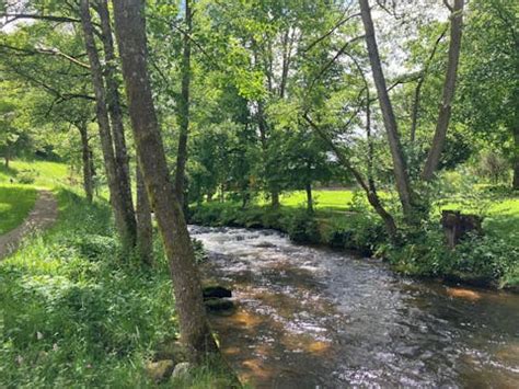 Der Ist Wie Ein Baum Gepflanzt An Den Wasserb Chen Psalmen Weg Ein