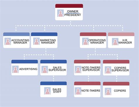 Johnson And Johnson Organizational Structure Felicitro