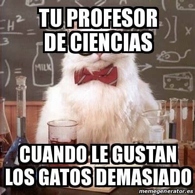 Meme Chemistry Cat Tu Profesor De Ciencias Cuando Le Gustan Los Gatos