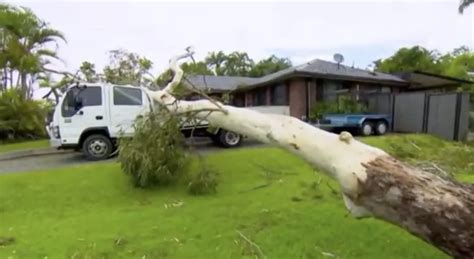 Ten Dead In Australia Thunderstorms Thousands Without Power The