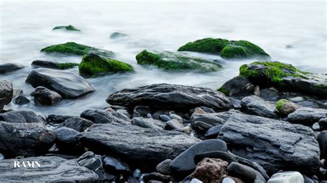 Peaceful Trickling Waves Of Water Over Rocks Stones Forest River Lake