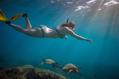 Snorkeling In Waikiki Honolulu