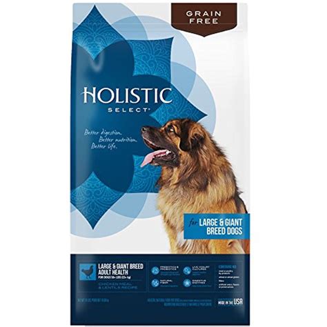 Holistic dog food – Artofit