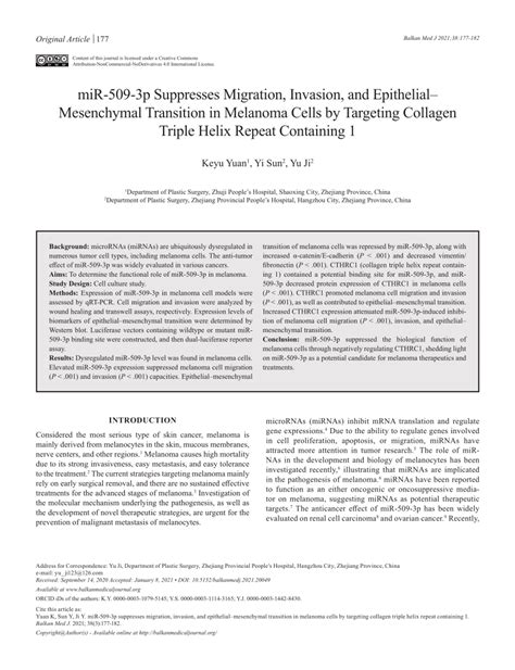 PDF MiR 509 3p Suppresses Migration Invasion And Epithelial