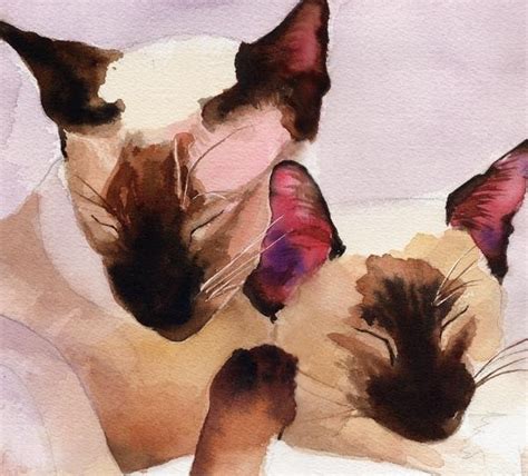 Siamese Cats By Rachel Parker Chuck Close Annie Leibovitz Watercolor