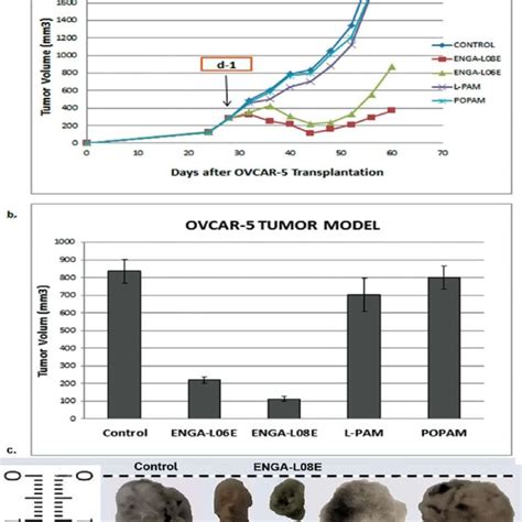 A In Vivo Growth Inhibition Of The Skov 3 Human Ovarian Download