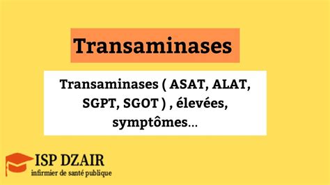 Transaminases ASAT ALAT SGPT SGOT élevées symptômes YouTube