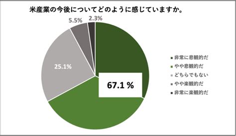 米の消費量減少を受け、食べチョクが「米の消費応援プログラム」を開始。お米スイーツ「リオレ」のレシピを生産者に無償提供し、レシピ付き商品を販売