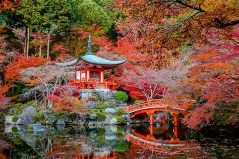 Planning a trip to Japan: Ultimate Travel Guide | JRailPass