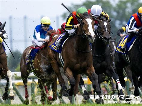 【秋華賞2024】有名人の予想に乗ろう！ 大久保先生、山本昌さん、霜降り明星・粗品さんなど多士済々！競馬大好き芸能人・著名人がファイナル