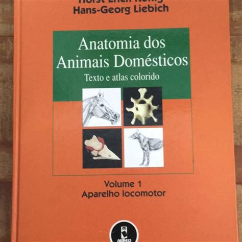 Anatomia dos animais domésticos texto e atlas colorido em São Paulo