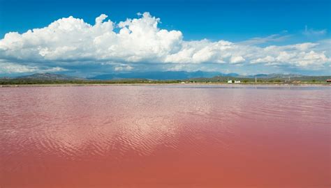 Senegal Lake Retba / Lake retba senegal | less than an hour away from ...