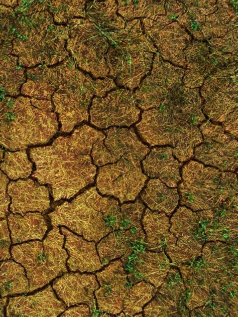 7 Ejemplos De Malas Prácticas Agrícolas Que Afectan Al Cambio Climático