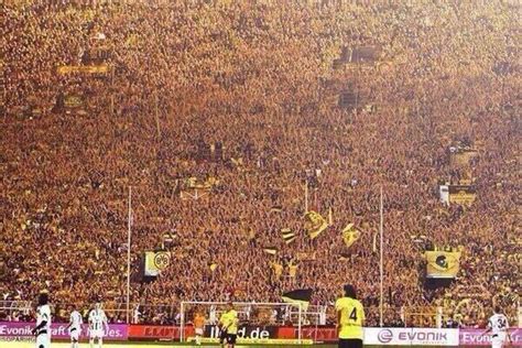 The borussia dortmund 'yellow wall'. scary! - scoopnest.com