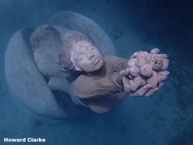 Molinere Bay Underwater Sculpture Park - Suzanne Lovell Inc.