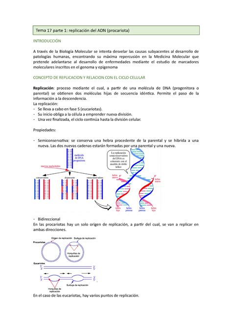 Tema P Replicaci N Introducci N A Trav S De La Biolog A