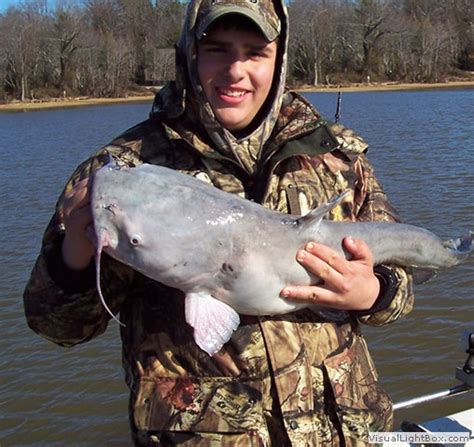 James River Catfishing Guide Guide Service For Blue Catfish On The