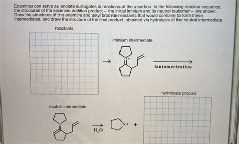 Solved Enamines Can Serve As Enolate Surrogates In Reactions Chegg