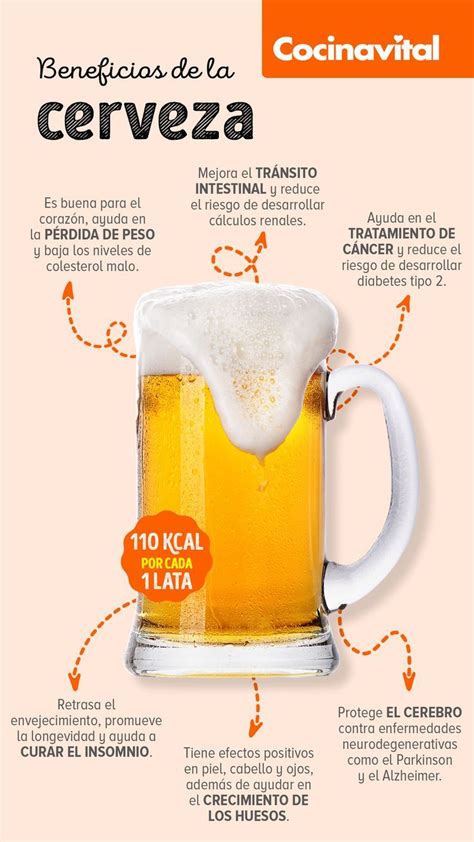 Beneficios De La Cerveza Para Tu Salud Que No Conoc As Artofit