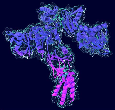 About • Targeted Protein Degradation 
