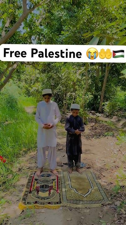 Free Palestine 🇵🇸😭🤲🇵🇸islamicvideos Justiceforpalestine Freepalestine