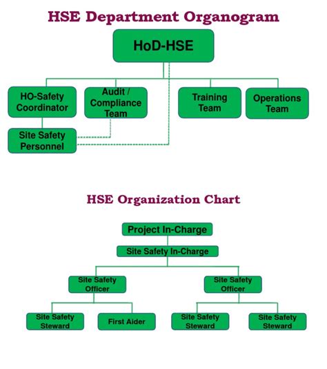 HSE Organization Chart | PDF