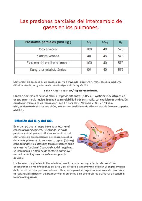 Diferencia De Presión Parcial En Tubos Capilares Pelo Natural