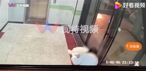 货拉拉跳车身亡女孩搬家监控曝光：独自进出约10趟，无异常 北晚新视觉