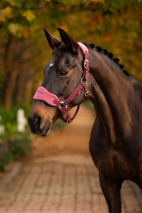 LeMieux Vogue Fleece Headcollar With Lead Rope