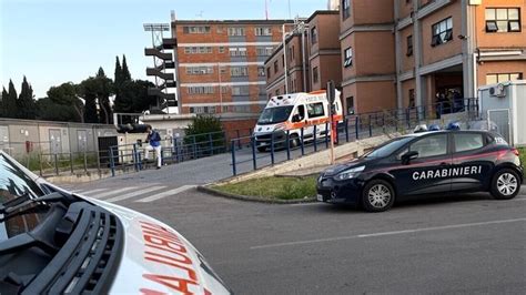 Donna Trovata In Casa Uccisa A Coltellate Fermato Un Uomo Che Vagava