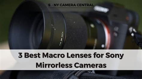 The 3 Best Macro Lenses for Sony Mirrorless Cameras: Expert Picks ...